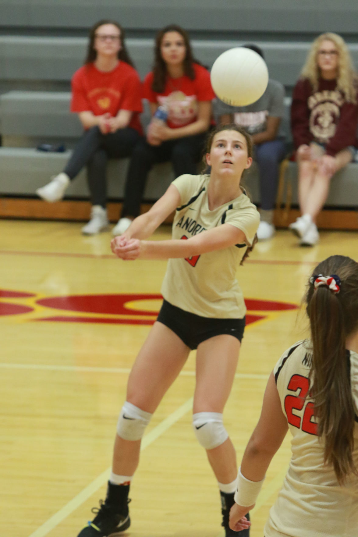 Gallery: Girls volleyball - Wheeler at Andrean
